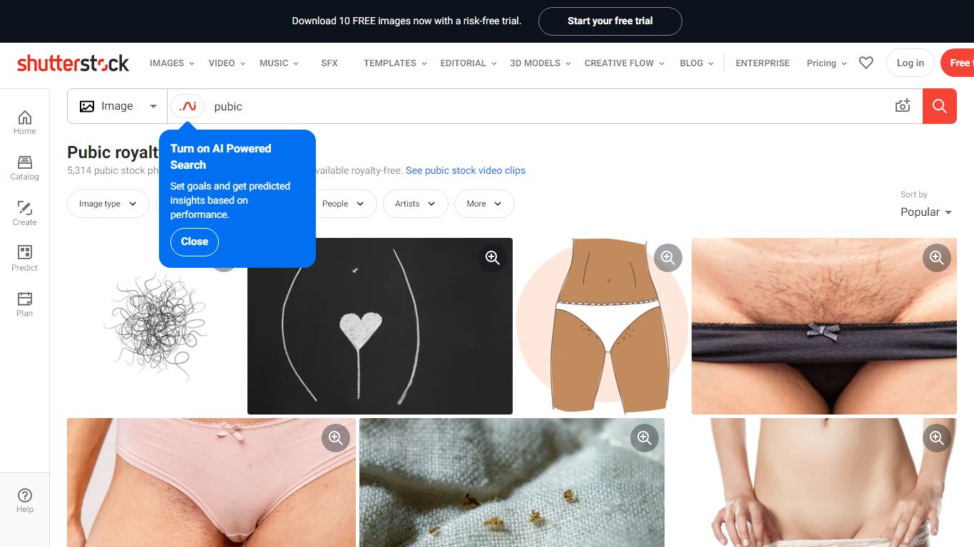 5,290 Pubic Images, Stock Photos & Vectors | Shutterstock